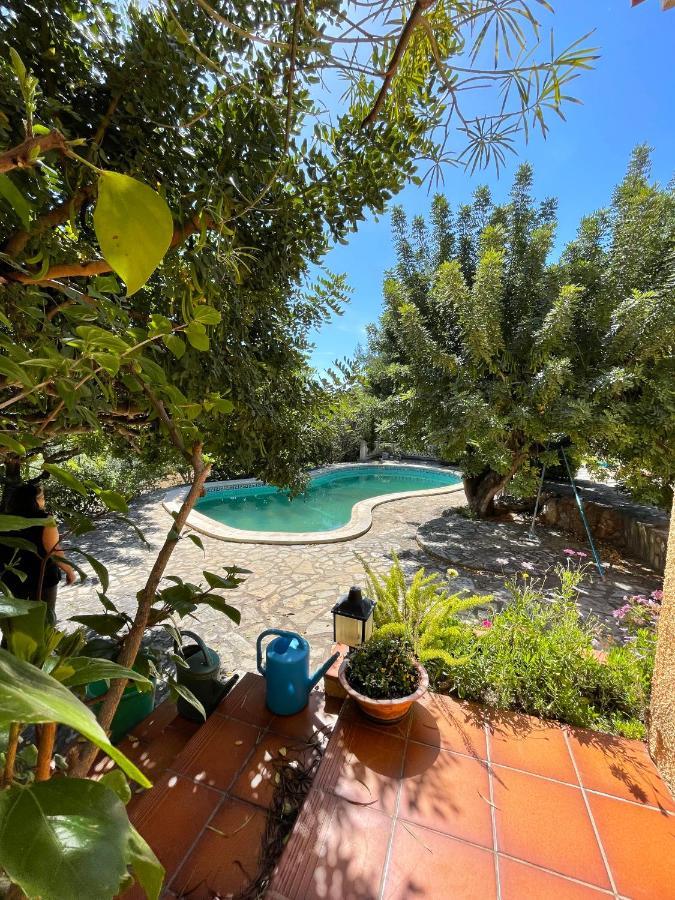 Villa La Torreta Ref 056 Castellón de la Plana Екстериор снимка